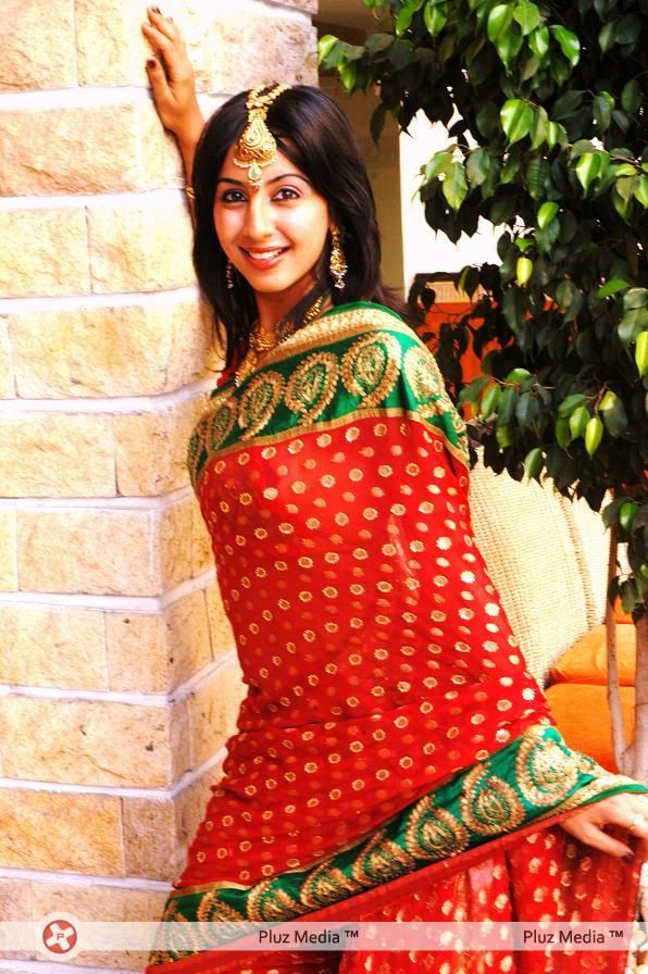 Sanjana Galrani In Saree Diwali Look - Stills | Picture 110825